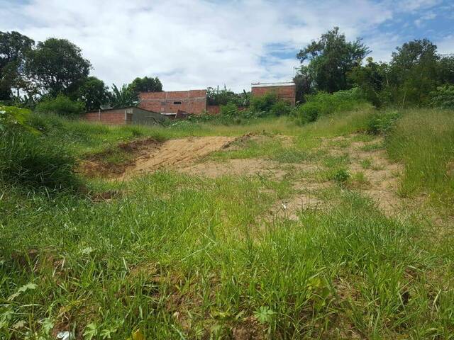 Terreno para Venda em Cruzeiro - 5
