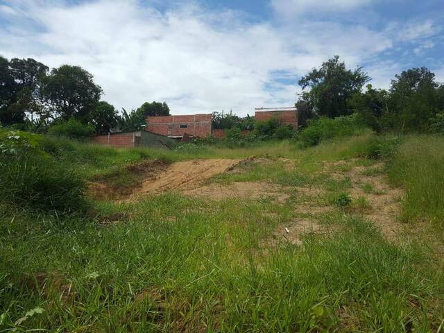 Terreno para Venda em Cruzeiro - 4