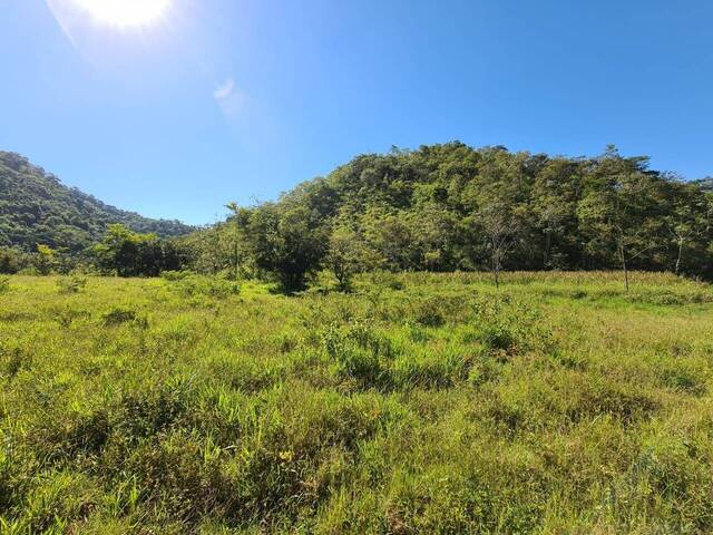 #FA0003 - Fazenda para Venda em Cruzeiro - SP