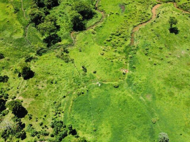 #FA0003 - Fazenda para Venda em Cruzeiro - SP
