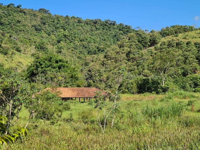 #FA0003 - Fazenda para Venda em Cruzeiro - SP