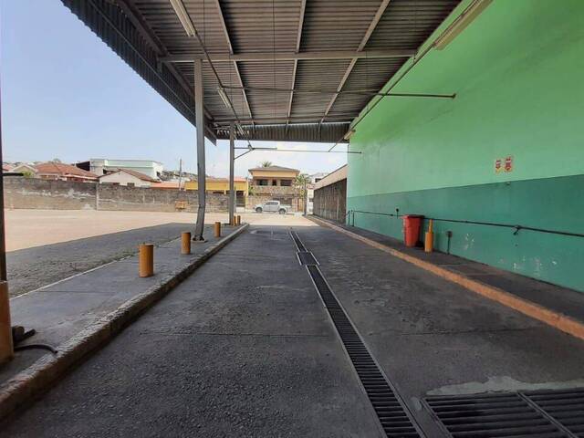 #TE0519 - Terreno para Locação em Cruzeiro - SP