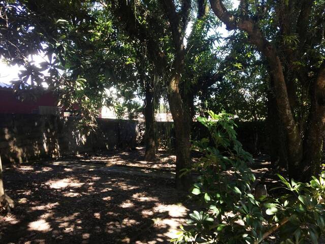 Casa para Venda em Cruzeiro - 5