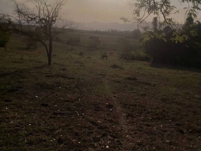 Terreno para Venda em Tremembé - 4