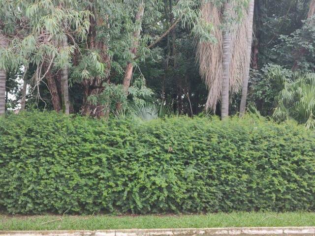 Terreno para Venda em Cruzeiro - 2