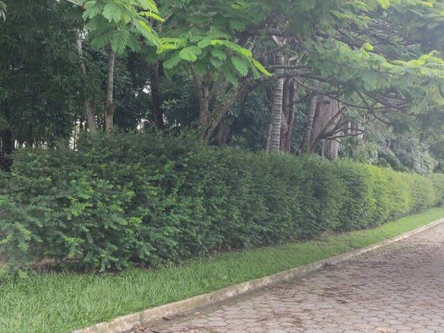 Terreno para Venda em Cruzeiro - 4