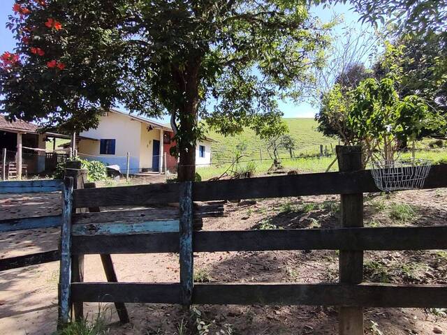 Fazenda para Venda em Cruzeiro - 3