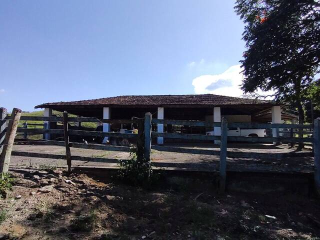 Fazenda para Venda em Cruzeiro - 5