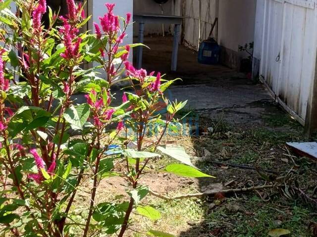 Casa para Venda em Cruzeiro - 3