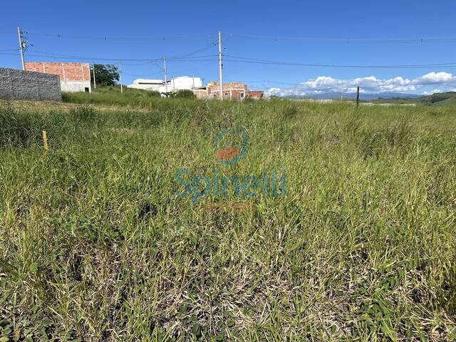 Terreno para Venda em Cruzeiro - 3