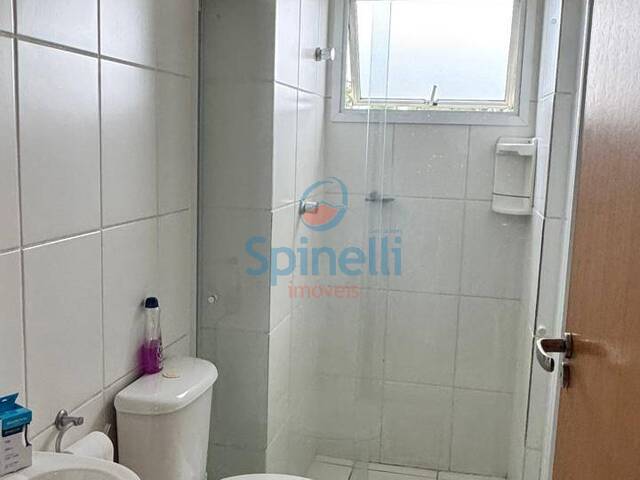 Apartamento para Locação em Cruzeiro - 5