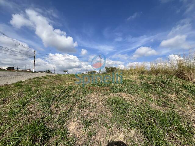 Terreno para Venda em Cruzeiro - 5