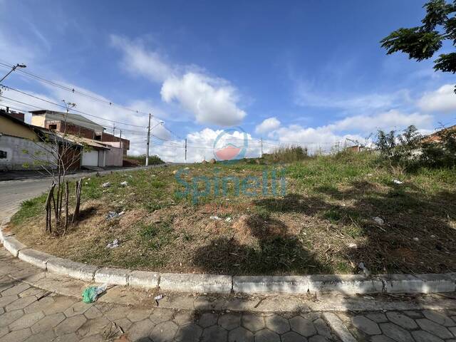Terreno para Venda em Cruzeiro - 2