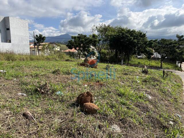 Terreno para Venda em Cruzeiro - 4