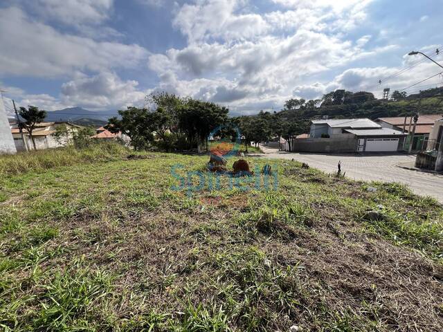 Terreno para Venda em Cruzeiro - 3
