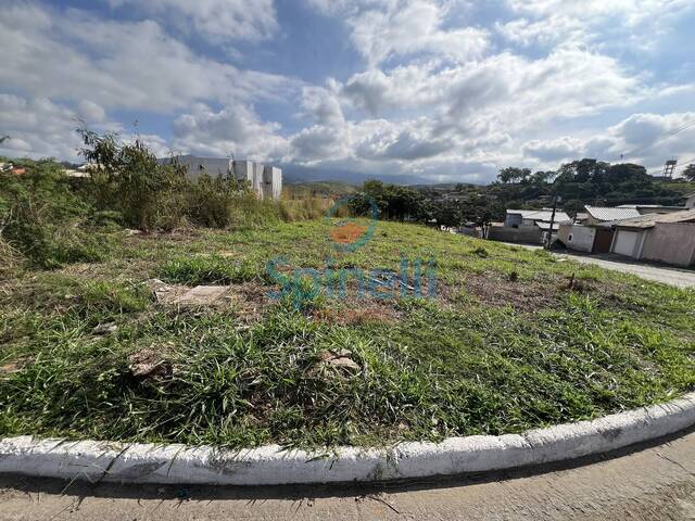 Terreno para Venda em Cruzeiro - 4
