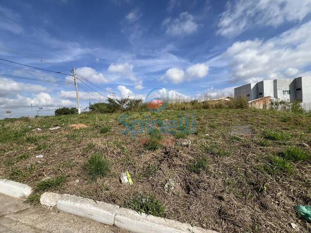 Terreno para Venda em Cruzeiro - 5