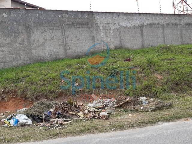 #3123 - Área para Venda em Lavrinhas - SP - 2