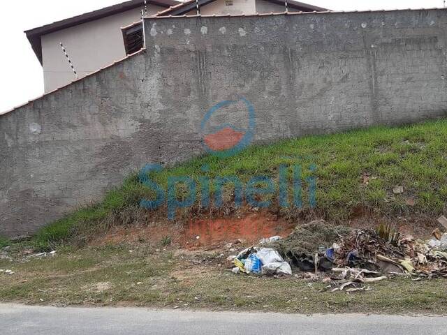 #3123 - Área para Venda em Lavrinhas - SP - 3