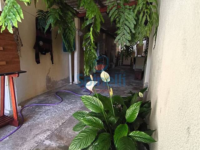 Casa para Venda em Cruzeiro - 4