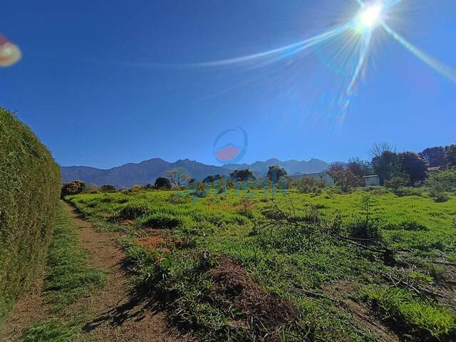 #3128 - Terreno para Venda em Lavrinhas - SP - 1