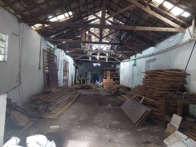 Terreno para Venda em Cruzeiro - 3