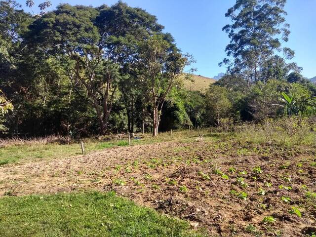 #SI0004 - Sítio para Venda em Cruzeiro - SP