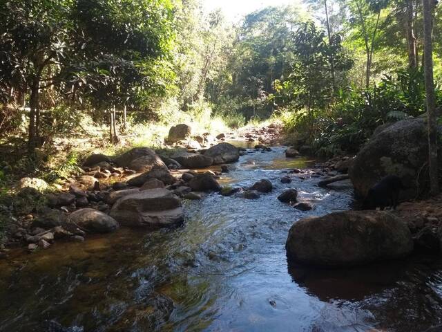Sítio para Venda em Cruzeiro - 4