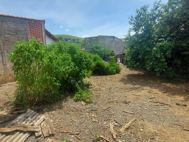 Terreno para Venda em Cruzeiro - 2