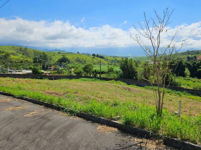 #TE0802 - Terreno para Venda em Lavrinhas - SP