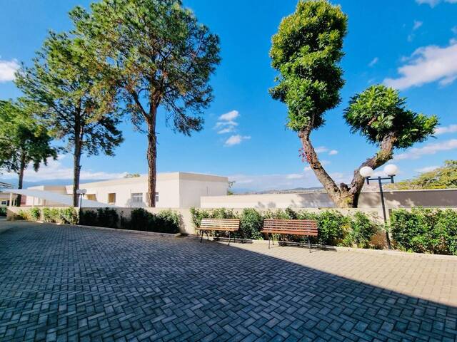 Sala para Locação em Cruzeiro - 4