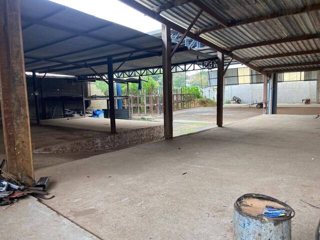 #GA0030 - Galpão para Venda em Cruzeiro - SP