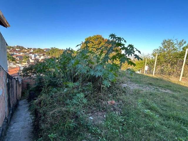 Terreno para Venda em Cruzeiro - 2