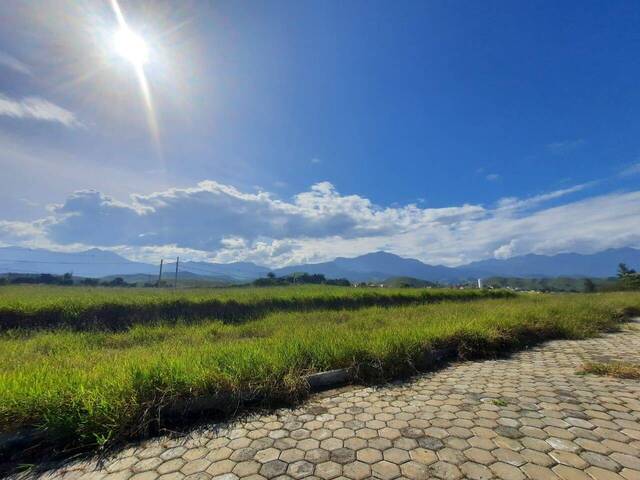 Terreno para Venda em Cruzeiro - 3
