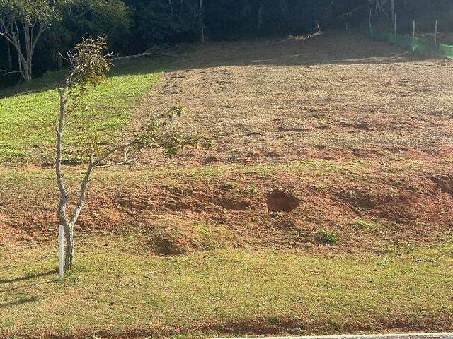 #TE0816 - Terreno para Venda em Paraibuna - SP