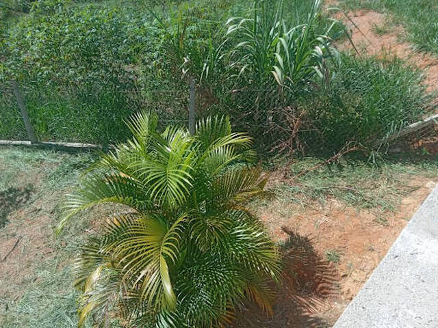 Chácara para Venda em Paraibuna - 5