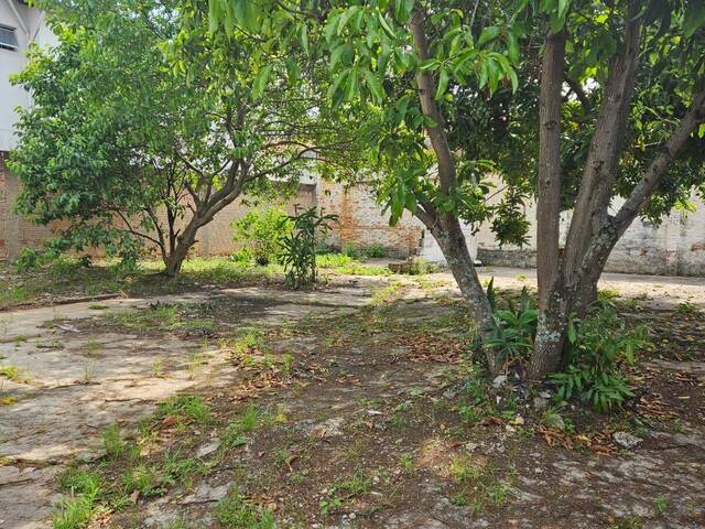 Casa para Venda em Cruzeiro - 2