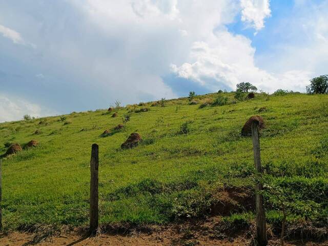 Chácara para Venda em Cruzeiro - 5