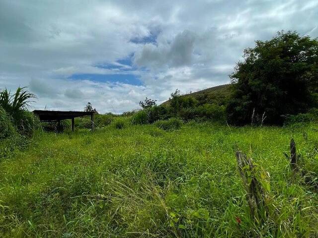 #FA0007 - Fazenda para Venda em Cruzeiro - SP