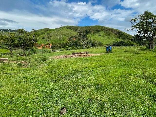 Fazenda para Venda em Cruzeiro - 4