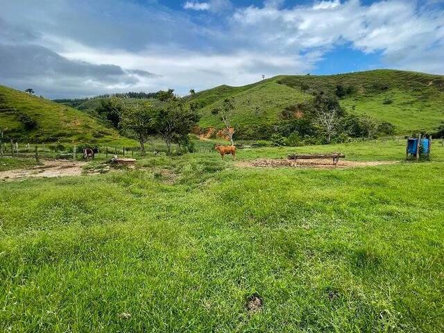 #FA0007 - Fazenda para Venda em Cruzeiro - SP