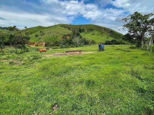 Fazenda para Venda em Cruzeiro - 5