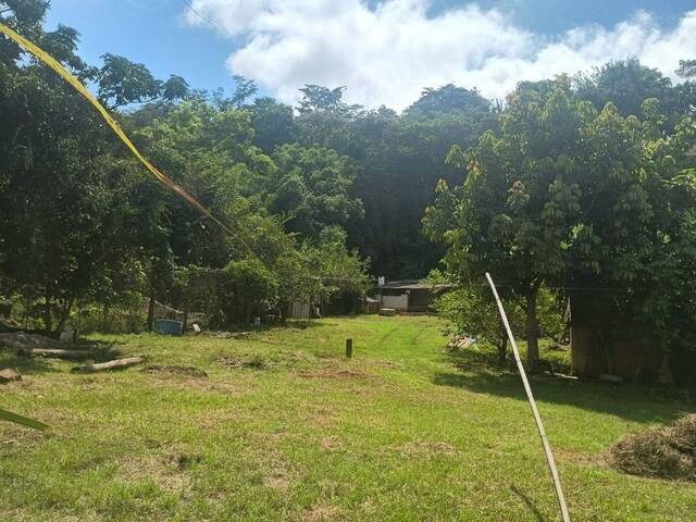 Chácara para Venda em Cruzeiro - 5