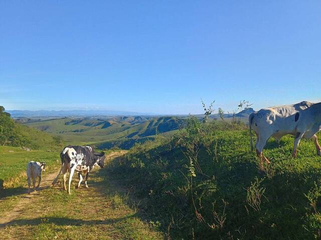 Fazenda para Venda em Cruzeiro - 4
