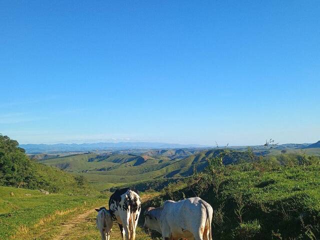 #FA0006 - Fazenda para Venda em Cruzeiro - SP