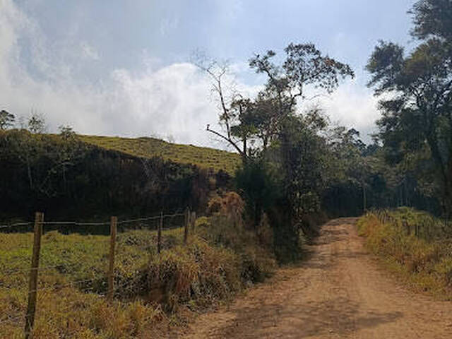 Fazenda para Venda em Cruzeiro - 5