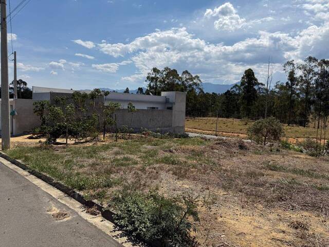 Terreno para Venda em Cruzeiro - 4