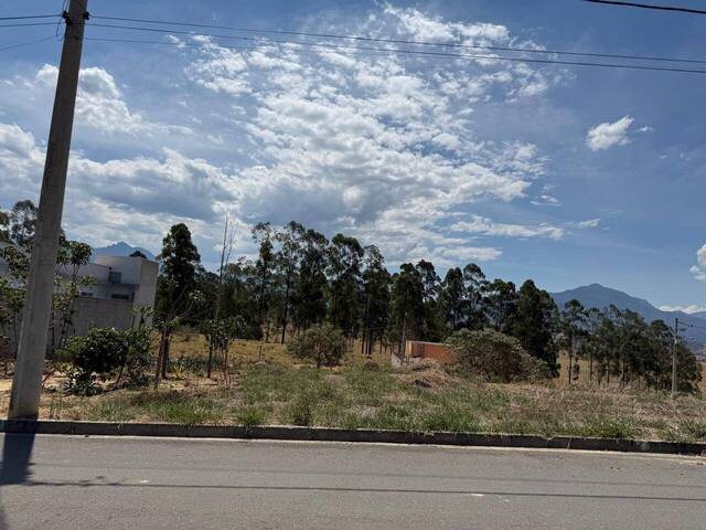 Terreno para Venda em Cruzeiro - 5