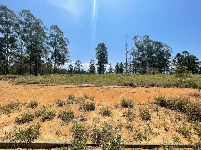 #TE0956 - Terreno para Venda em Cruzeiro - SP