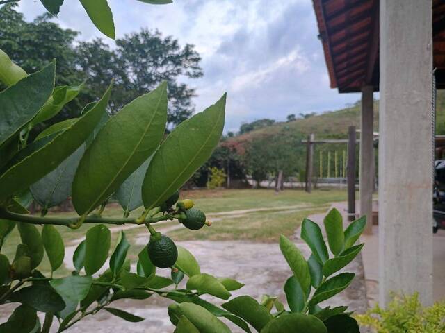 #CH0041 - Chácara para Venda em Cruzeiro - SP